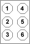 Célula braille